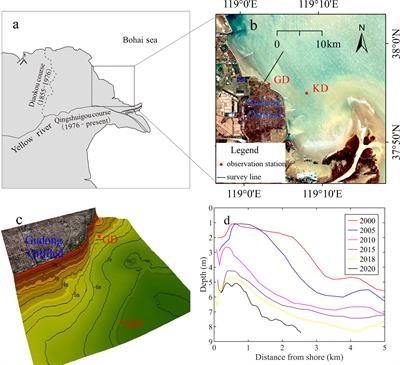 Field observations of seabed scour dynamics in front of a seawall during winter gales